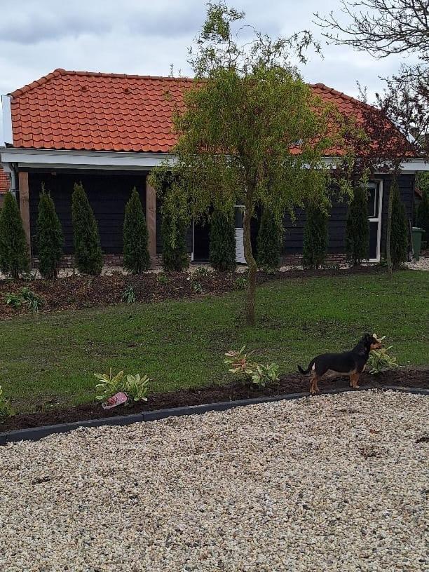 Gastenhuis Amstelmeerzicht. Westerland 外观 照片